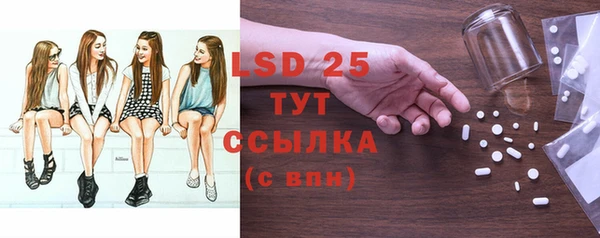 стаф Богданович