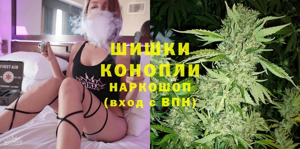 хмурый Белокуриха