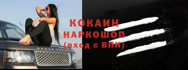 стаф Богданович