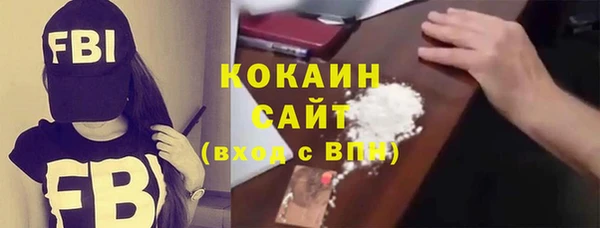 стаф Богданович