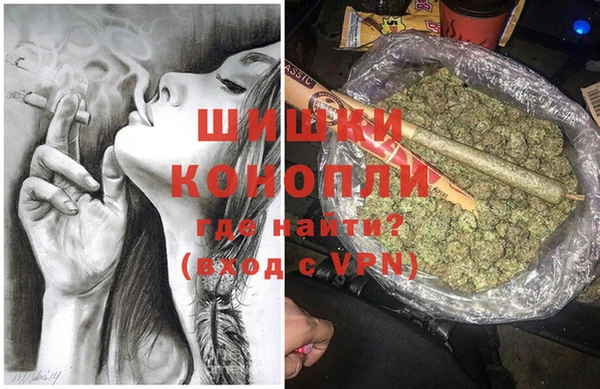 стаф Богданович