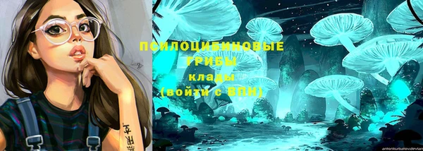 не бодяженный Богородск
