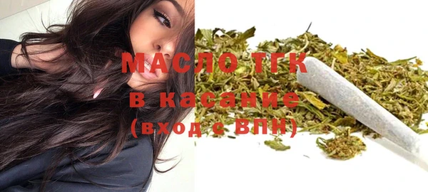 стаф Богданович