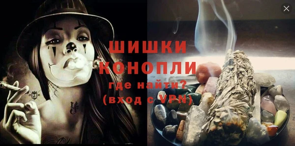 стаф Богданович