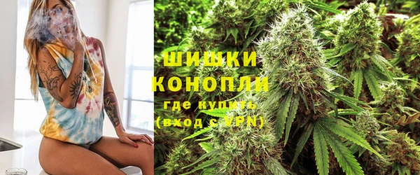 трава Беломорск