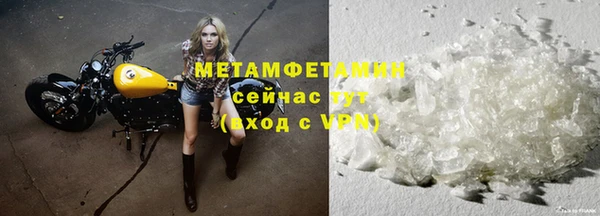 хмурый Белокуриха