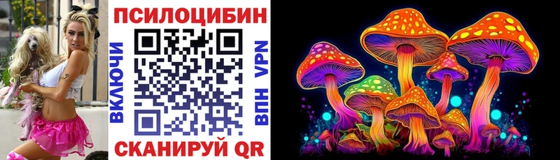 Галлюциногенные грибы Magic Shrooms  ссылка на мегу маркетплейс  Валдай  купить наркоту 