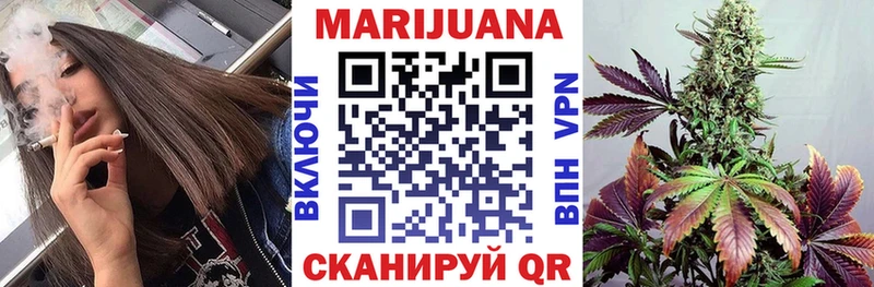 Бошки Шишки гибрид  Валдай 